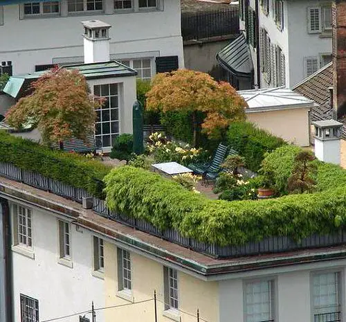 Rooftop Garden 42