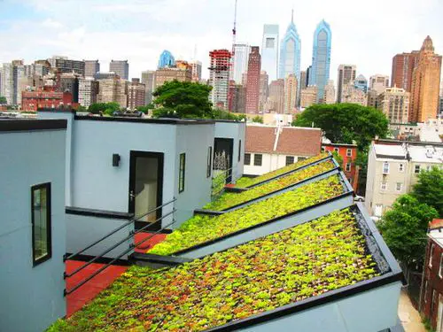 Rooftop Garden 22