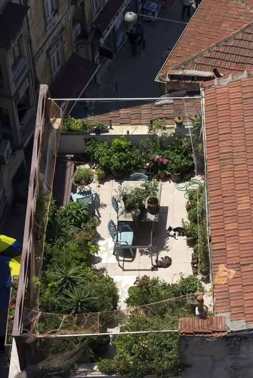 Rooftop Garden 46