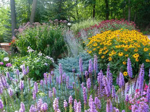 How to Attract Bees to Your Garden 4
