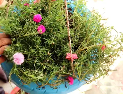 How To Make Hanging Tire Planter 5