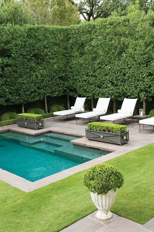 top Best Plants to Have on Your Curb 