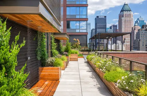 Rooftop Garden 56
