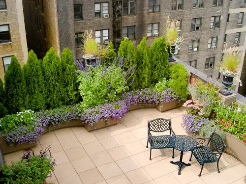 Rooftop Garden 58