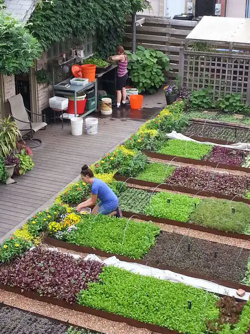 Rooftop Garden 66