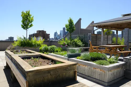 Rooftop Garden 63