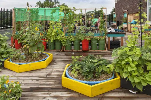 Rooftop Garden 4