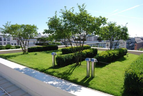 Rooftop Garden 54