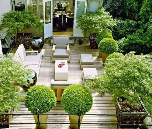 Rooftop Garden 8