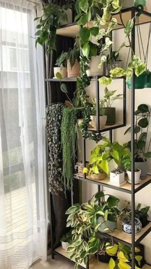 Indoor Stepladder Garden inspiration #12