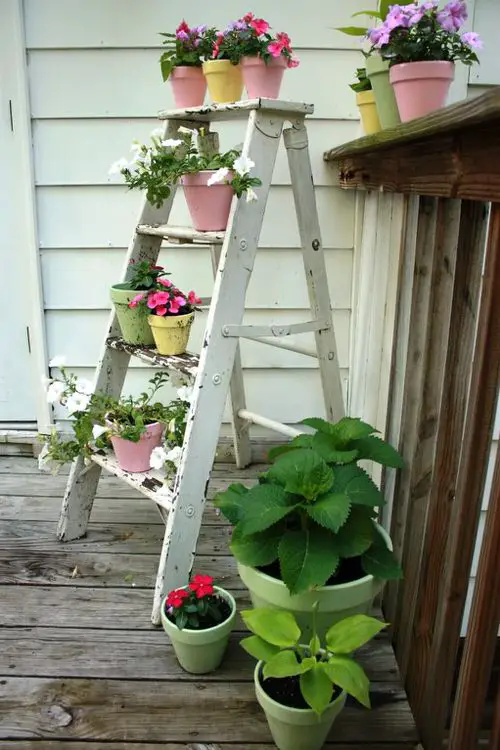 Indoor Stepladder Garden Ideas 7