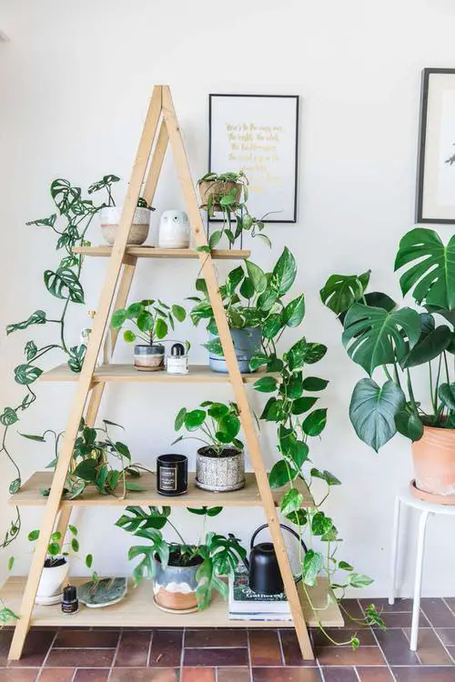 Indoor Stepladder Garden Ideas 8