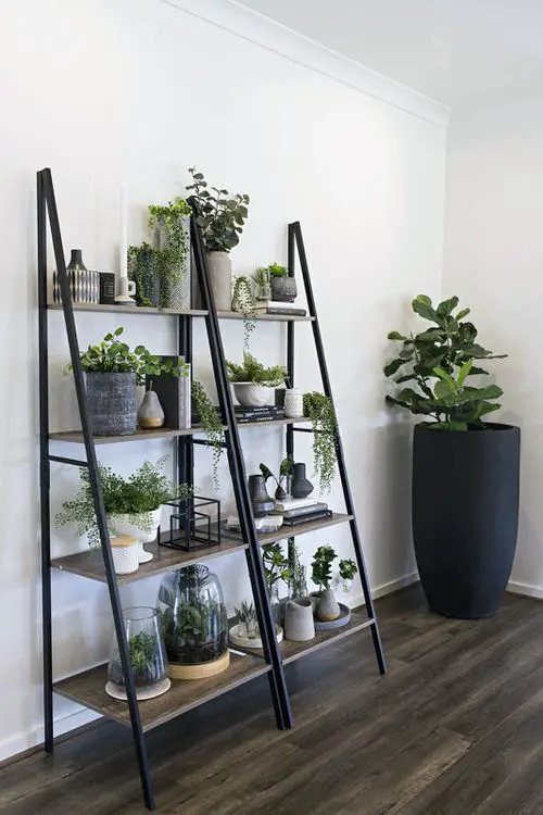 Indoor Stepladder Garden inspiration #16