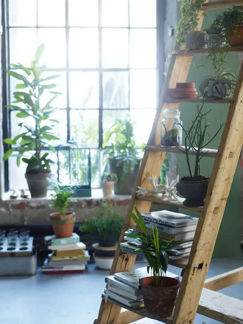 Indoor Stepladder Garden inspiration #4