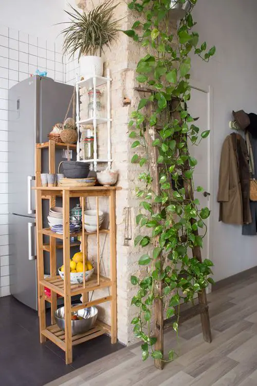 Indoor Stepladder Garden inspiration #2