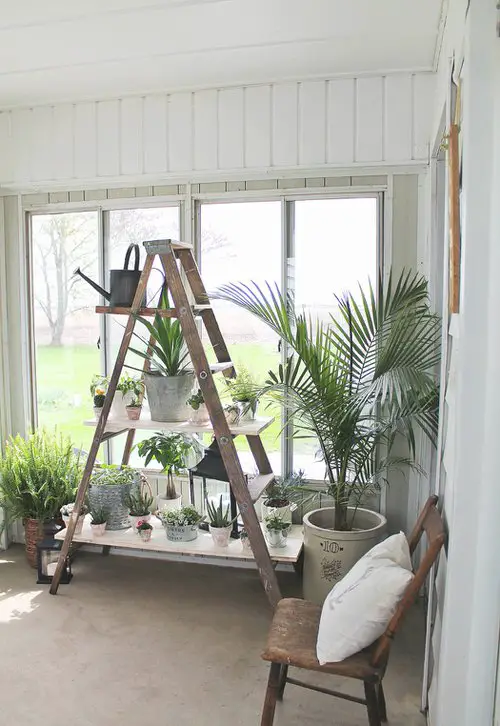 Indoor Stepladder Garden inspiration #10
