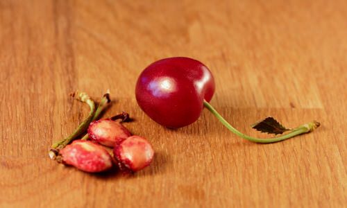 best Fruits You Can Grow from Seeds and Leftovers from Kitchen