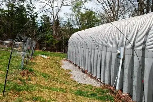 How to Make a Trellis for Grapevines 1