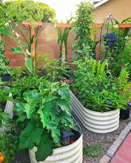 Nicest Backyard Garden Ideas 20