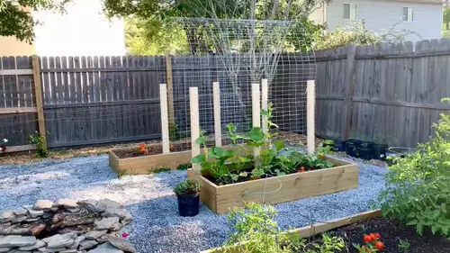 DIY Squash Trellis Ideas 4