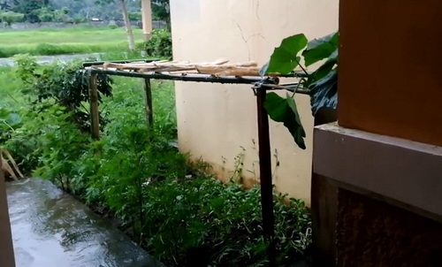 DIY Squash Trellis Ideas 8