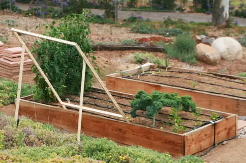  Fantastic DIY Squash Trellis Ideas 6
