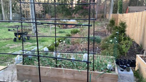 DIY Squash Trellis Ideas 7