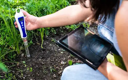 Trying to Modify the Basic Nature of Soil