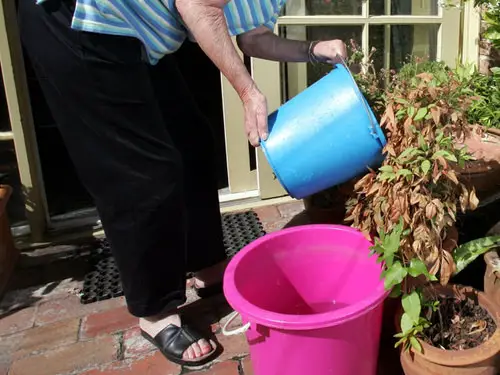 Outdoor Plant Parenting Hacks 10