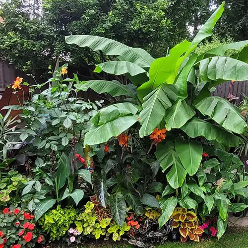Investing in Growing Exotics Not Suitable to the Climate