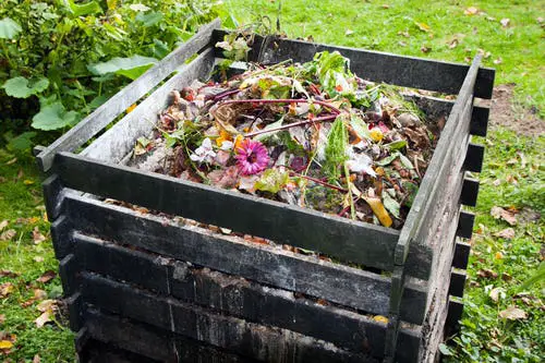Contribute to a Community Garden