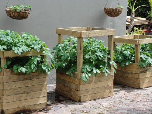 Raised Bed from Pallet Boxes