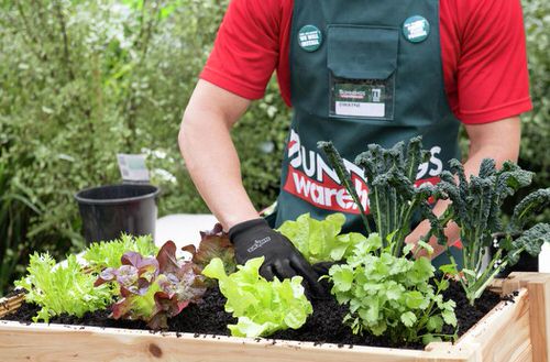 A Minimalistic Portable Garden Bed