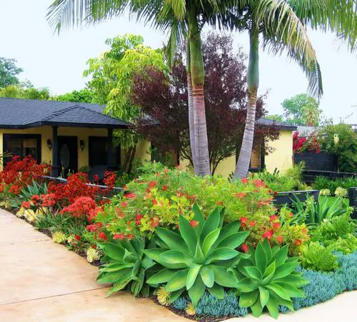 A Vivid Tropical Setting Front Yard Landscaping Ideas 6