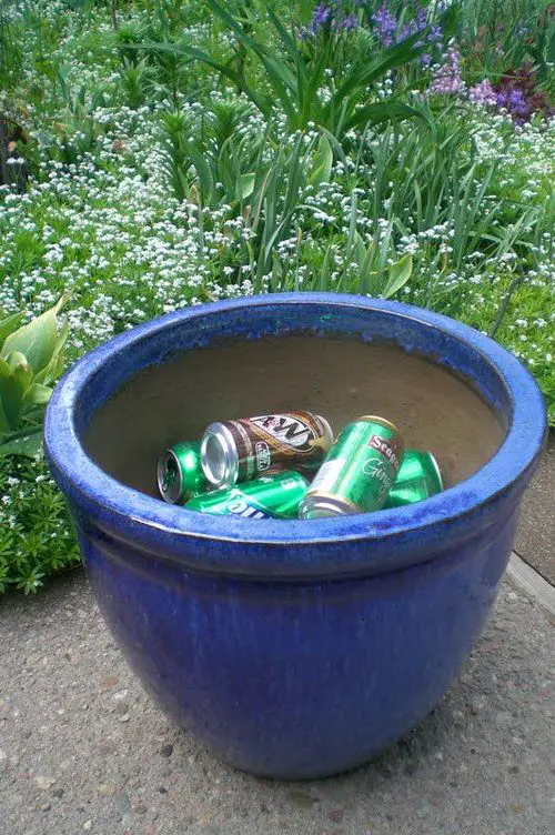 Outdoor Plant Parenting Hacks 5