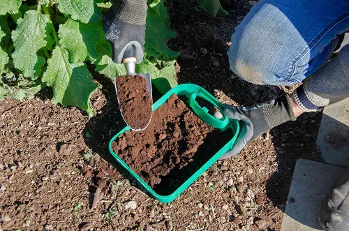 Keep Coffee Ground for Your Garden
