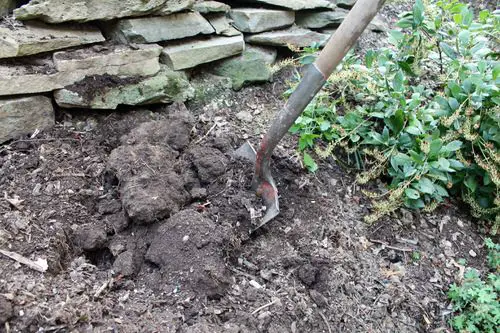 Tilling the Non-Productive Parts of the garden