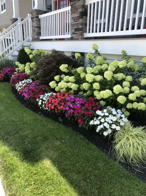 A Line of Different Flowers on the Front Edge