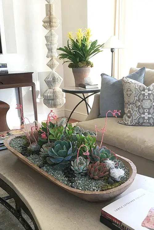 Succulent Tray Centerpiece