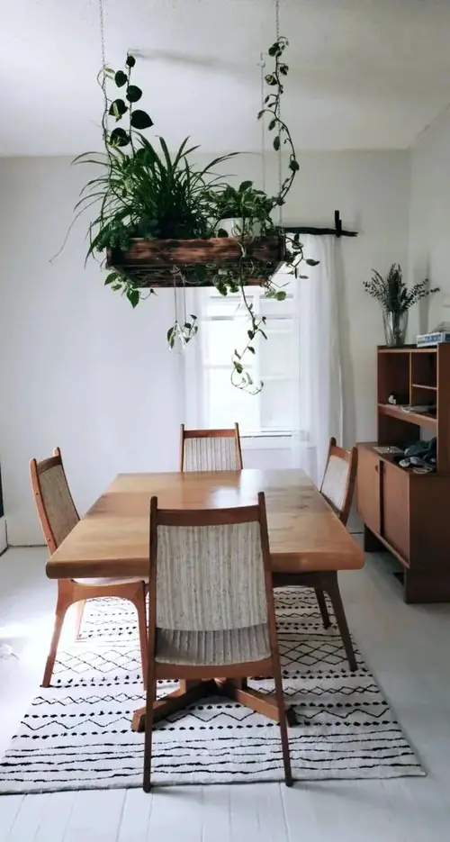 A Hanging Green Centerpiece Above a Dining Table