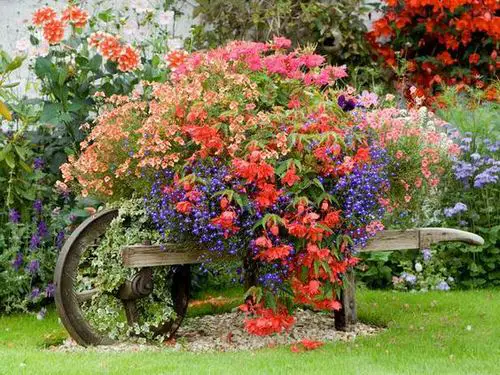 Plant a Wheelbarrow with Many Flowers!