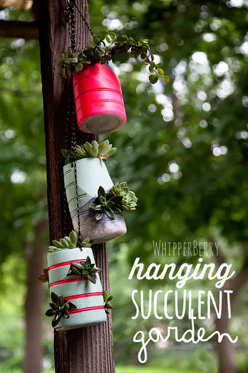 Hanging Succulent Garden