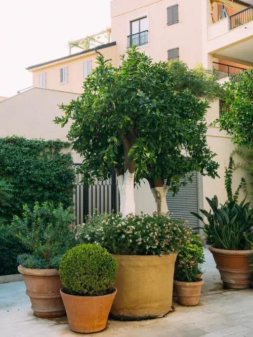 Beautiful Front Door Container Ideas 35