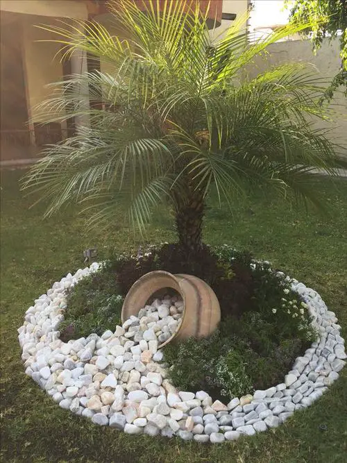 A Spilling Pot Near Palm Tree in Front Yard