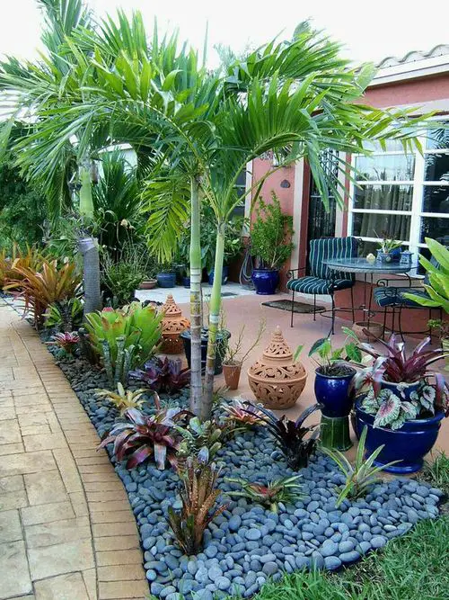 Front Border with Tropical Plants