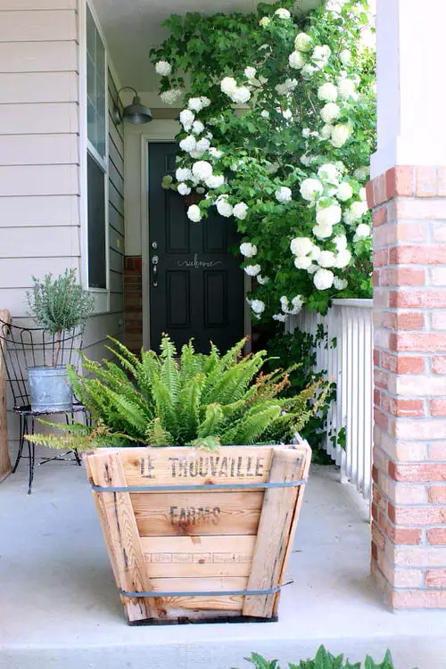 Beautiful Front Door Container Ideas 31