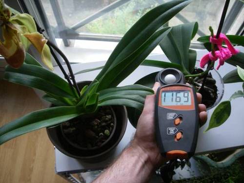 Balances pH Levels of the Soil