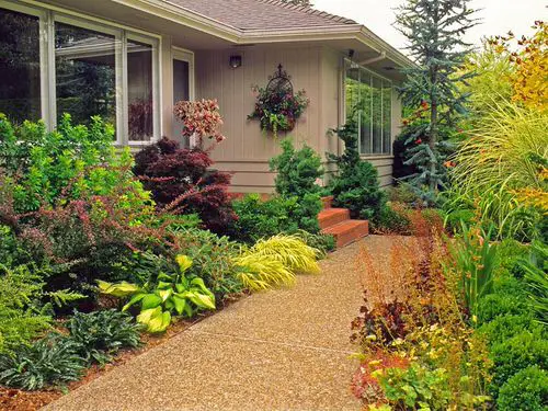 Colorful Plants Beside a Walkway