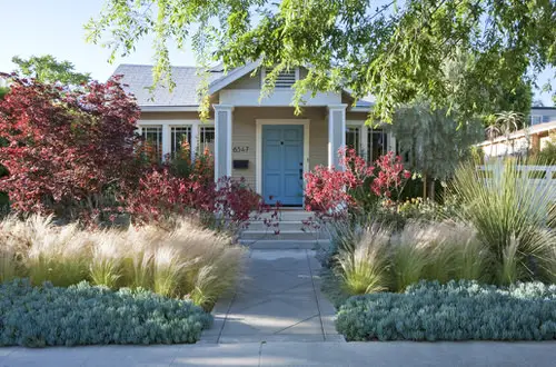 Ornamental Grasses Complementing Colorful Shrubs