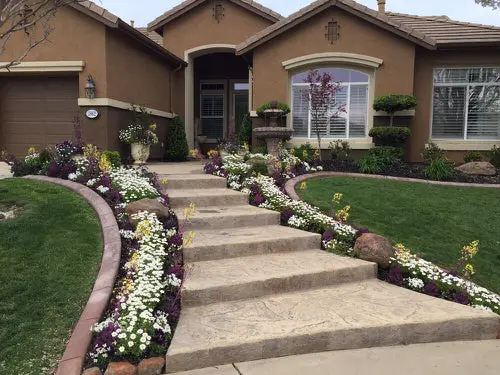 Front Yard Landscaping with Line of Flowers